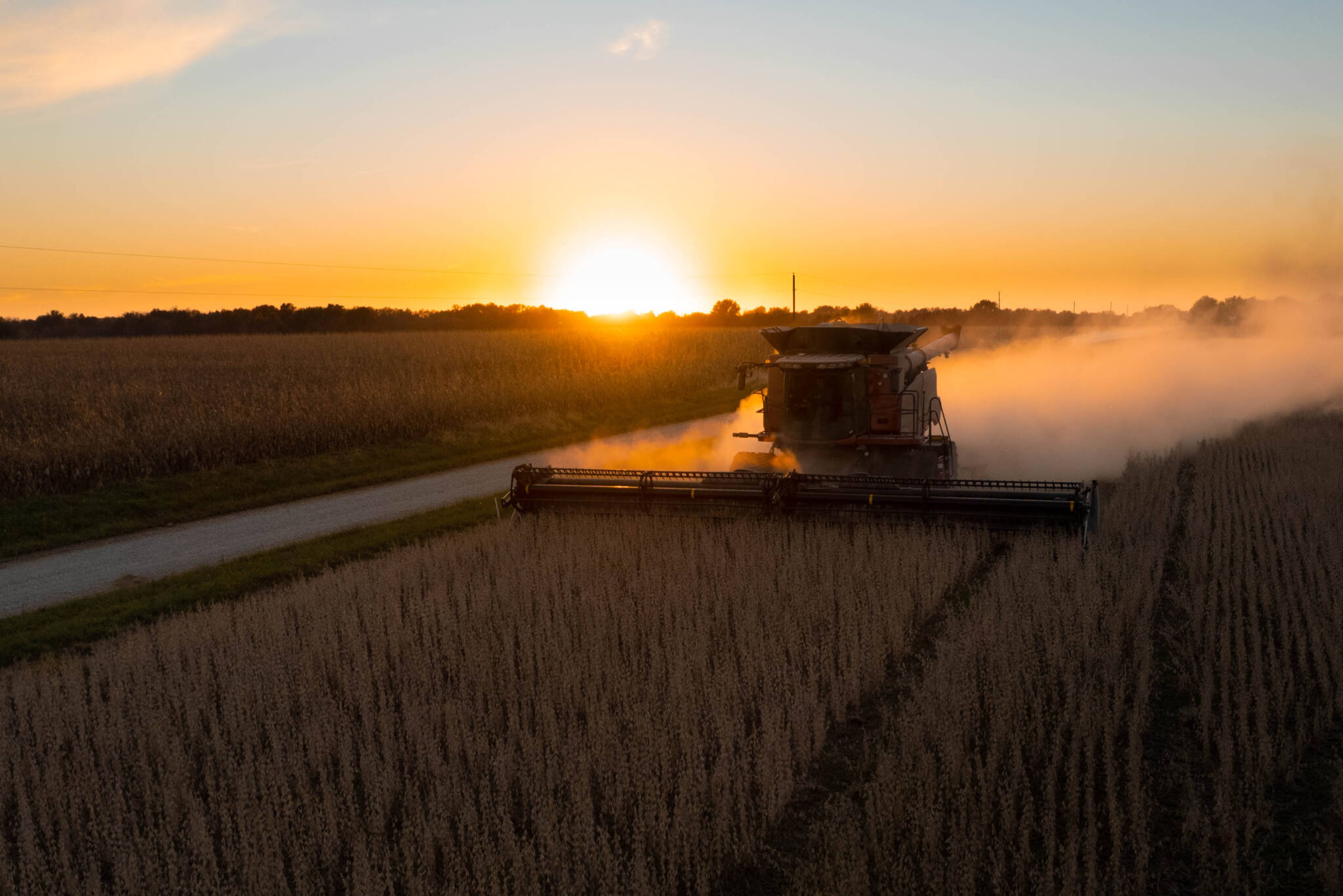Combine Harvester Working In The Soybean Field Against A Clear Sky At Sunset In Missouri