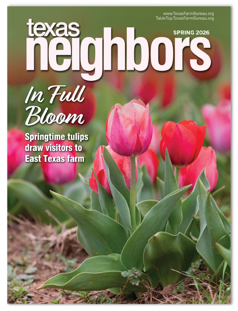 Texas Neighbors Magazine, Texas Farm Bureau E-Newsletter