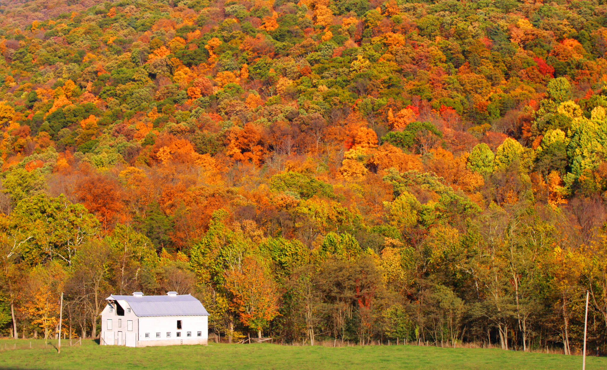 Barn At The Foot Hill